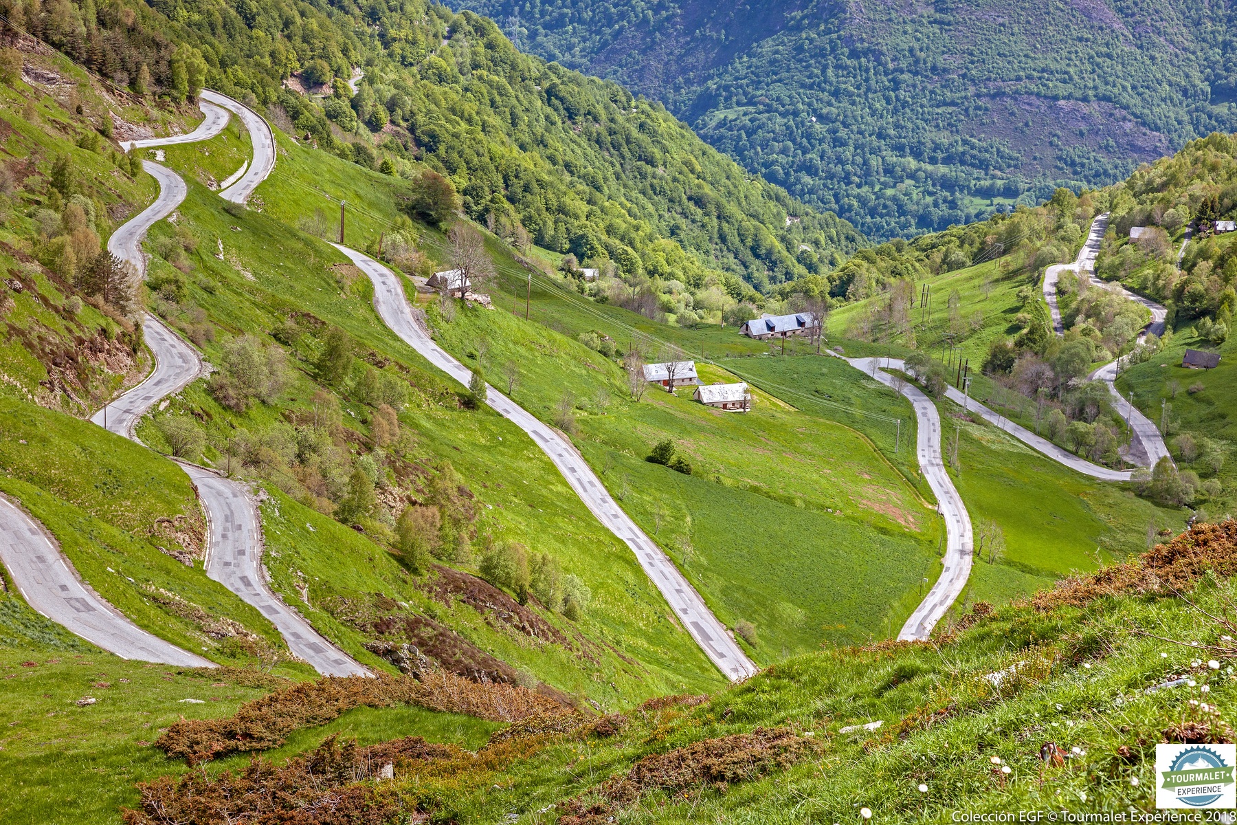 DÉCOUVRIR LES PYRÉNÉES