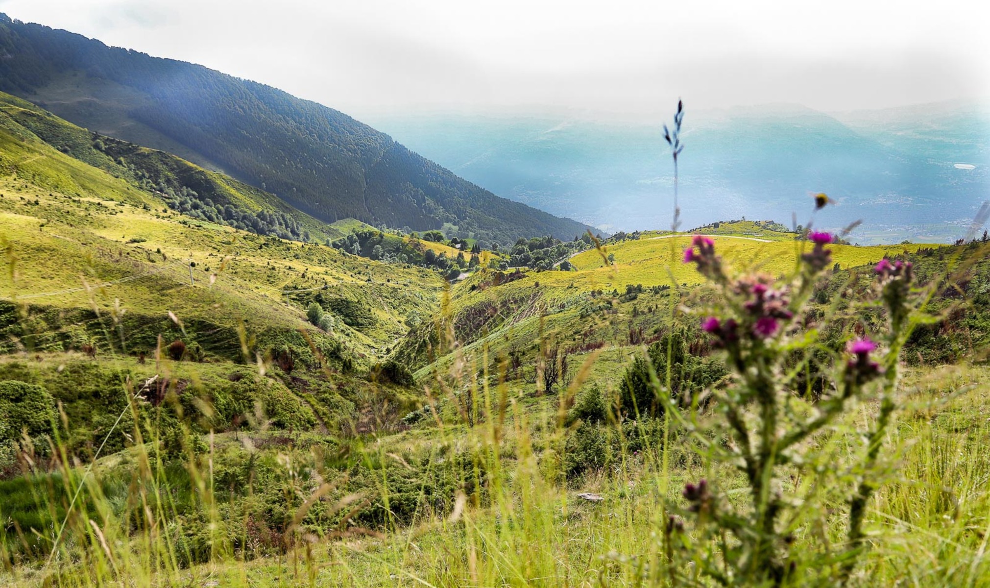 LE COL DU HAUTACAM